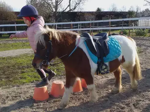 Corso di Equitazione