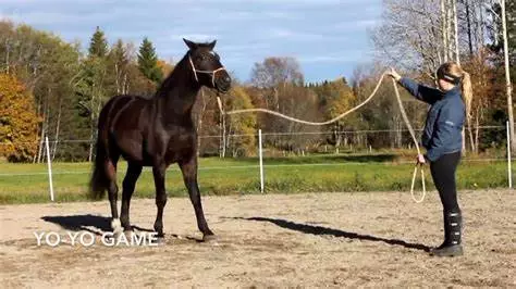 corso-di-equitazione-per-ragazzi-e-adulti-asd-cascina-delle-acacie-casalborgone-1
