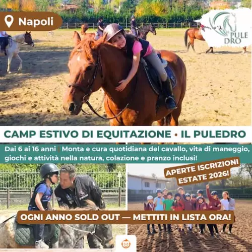 Centro estivo di Equitazione Naturale a Napoli