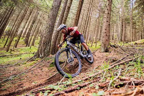 Centro estivo di Mountain Bike a Ziano di Fiemme