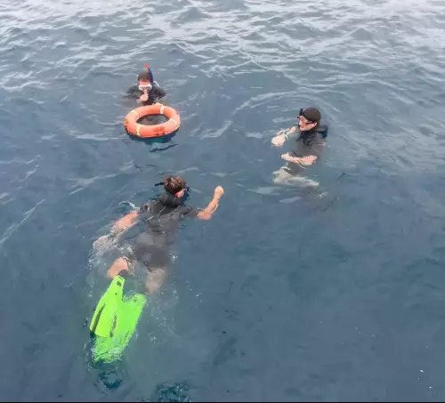 campus-estivo-biologia-marina-e-snorkeling-asd-diving-degli-etruschi-cecina-0