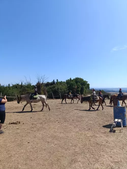 horse-summer-camp-2026-equioasi-arcadia-asd-casciana-terme-lari-0