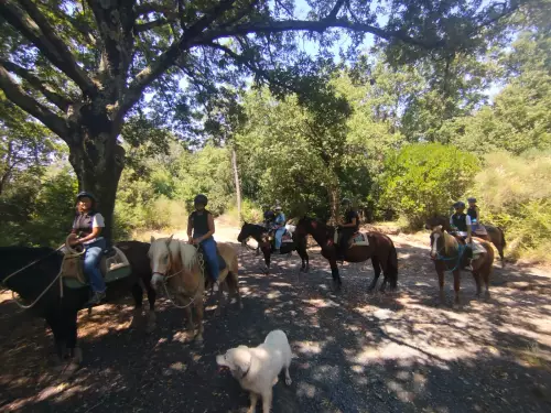 horse-riding-summer-camp-2026-equioasi-arcadia-asd-casciana-terme-lari-0
